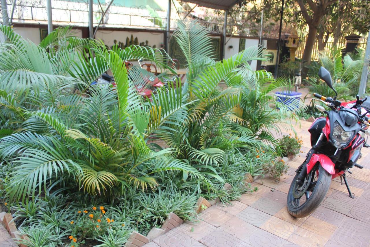 Mango Siem Reap