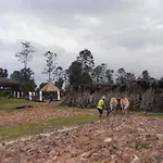 The Bong Thom Homestay