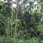 Chansor Community Homestay 4
