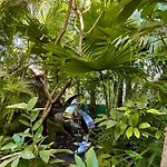 3 Monkeys Villa Residence