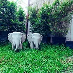 Adventure Siem Reap Lodge