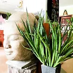 Ta Som Guesthouse & Tour Services