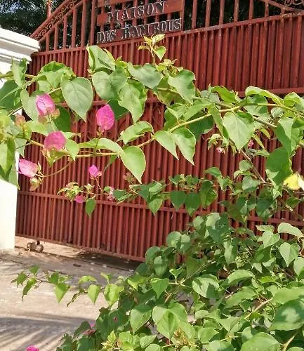 La Maison des Bambous Siem Reap