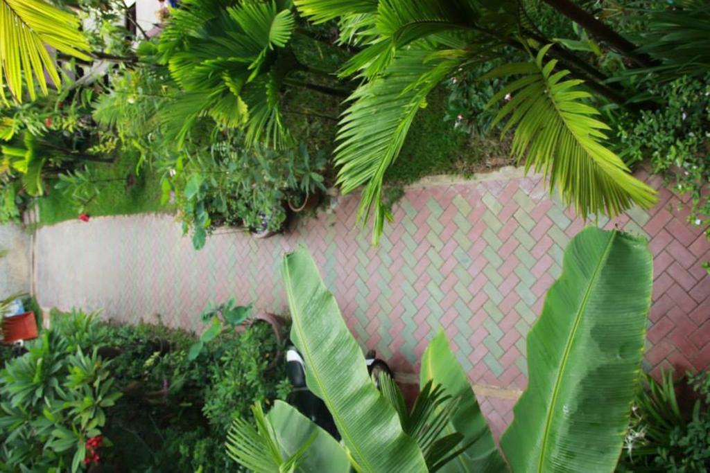 Bed & Breakfast Jasmine Family 2*
