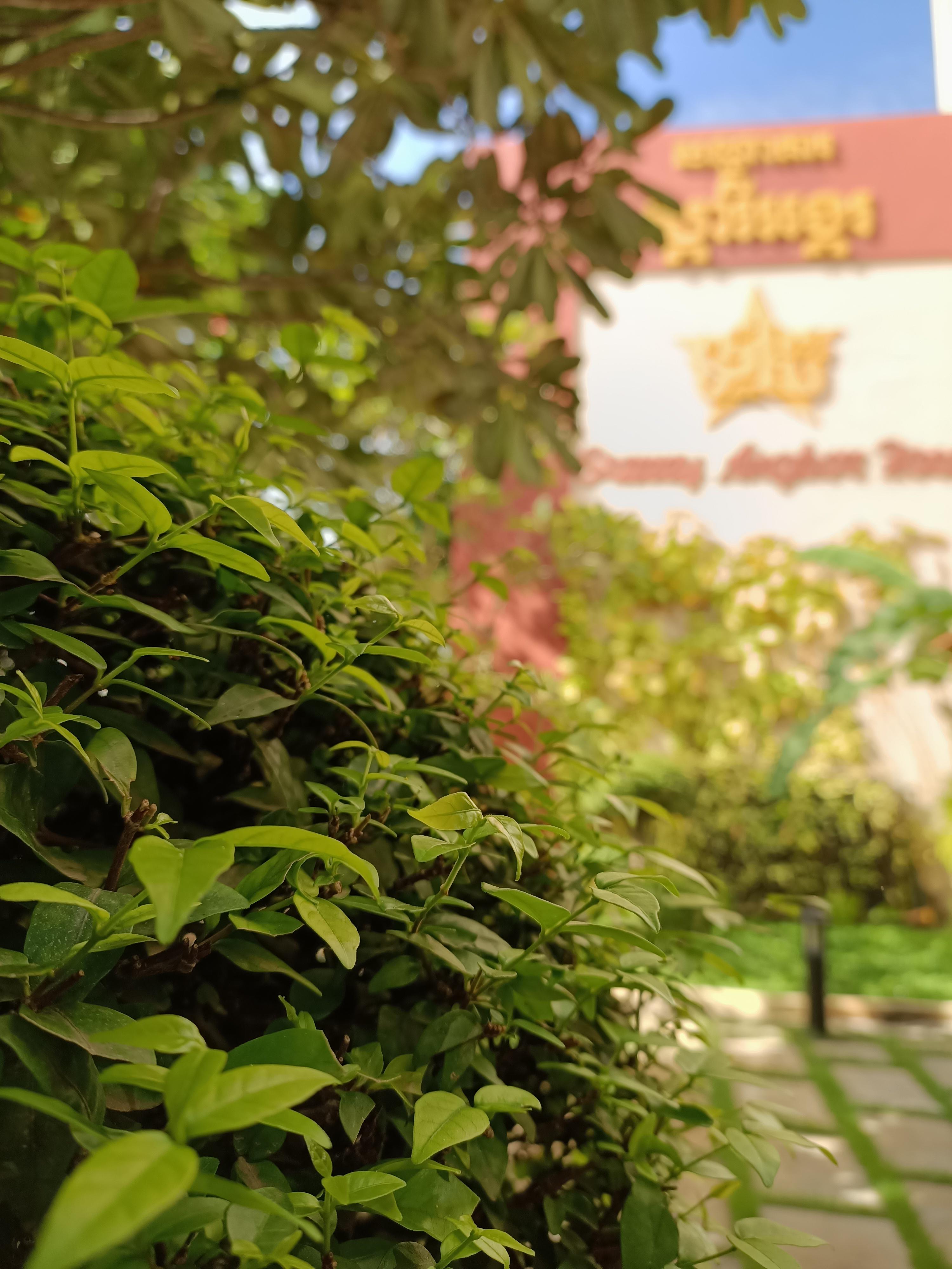 Hotel Starry Angkor Siem Reap