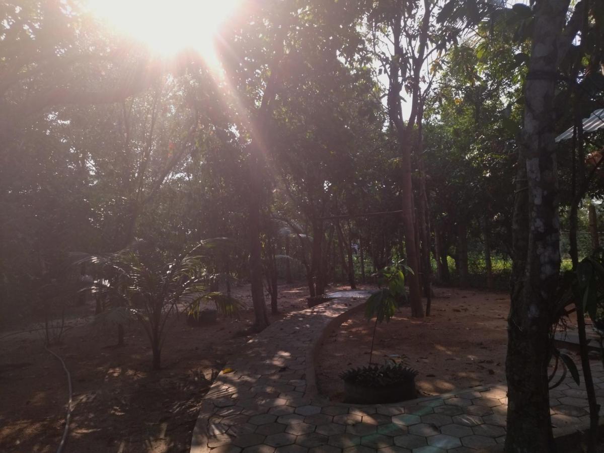 La Maison Des Bambous 2* Siem Reap