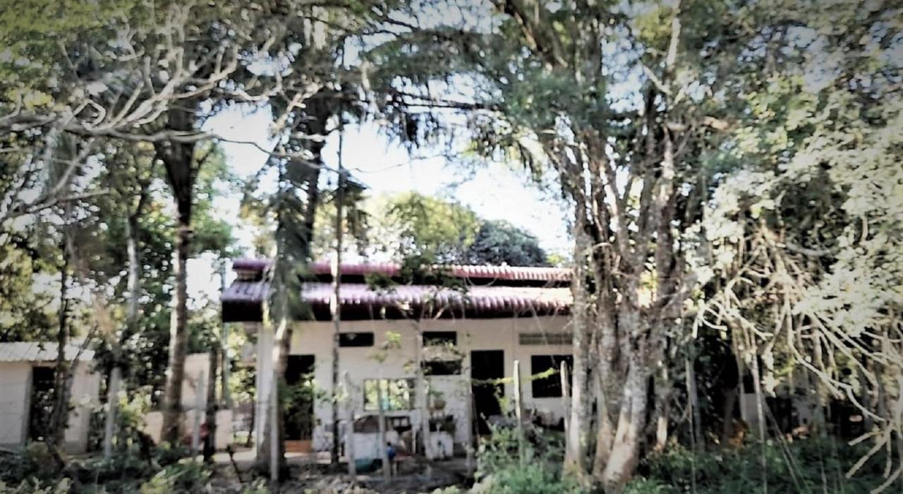 La Maison Des Bambous Siem Reap
