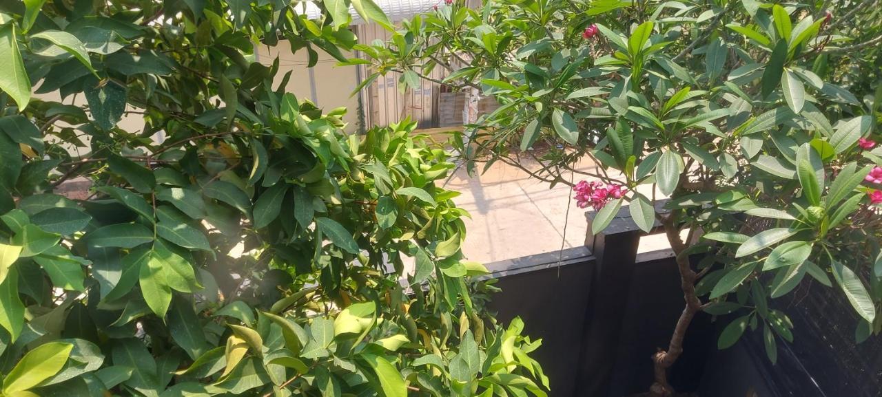 The Garden Deluxe Siem Reap