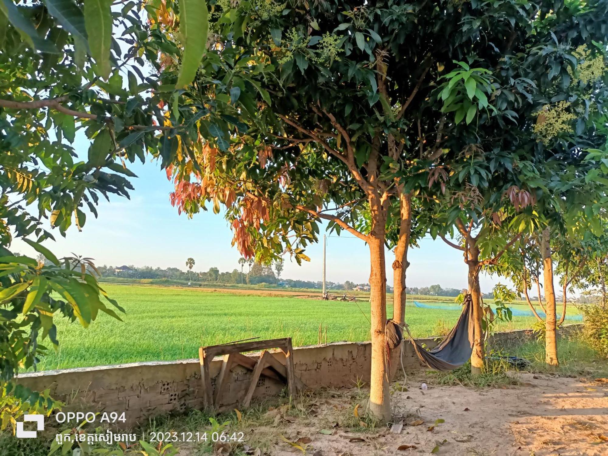 Alloggio in famiglia Phonluer Angkor Homestay, Siem Reap