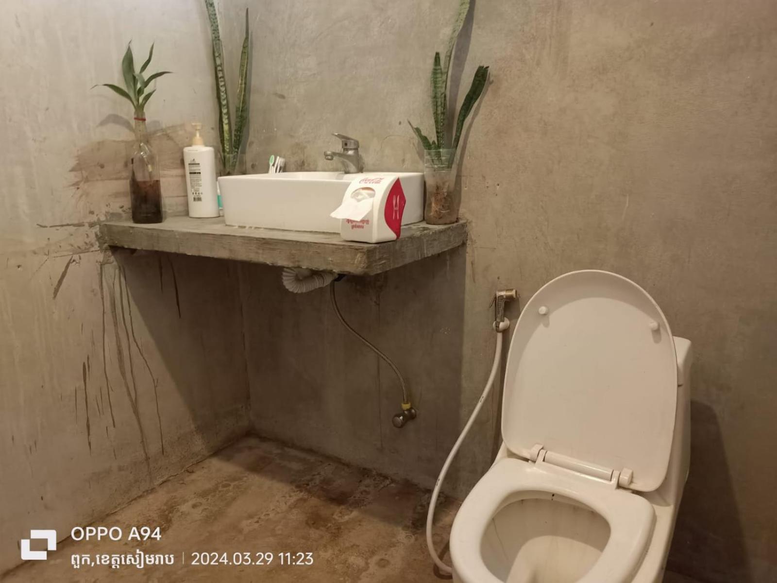 Phonluer Angkor Homestay, *