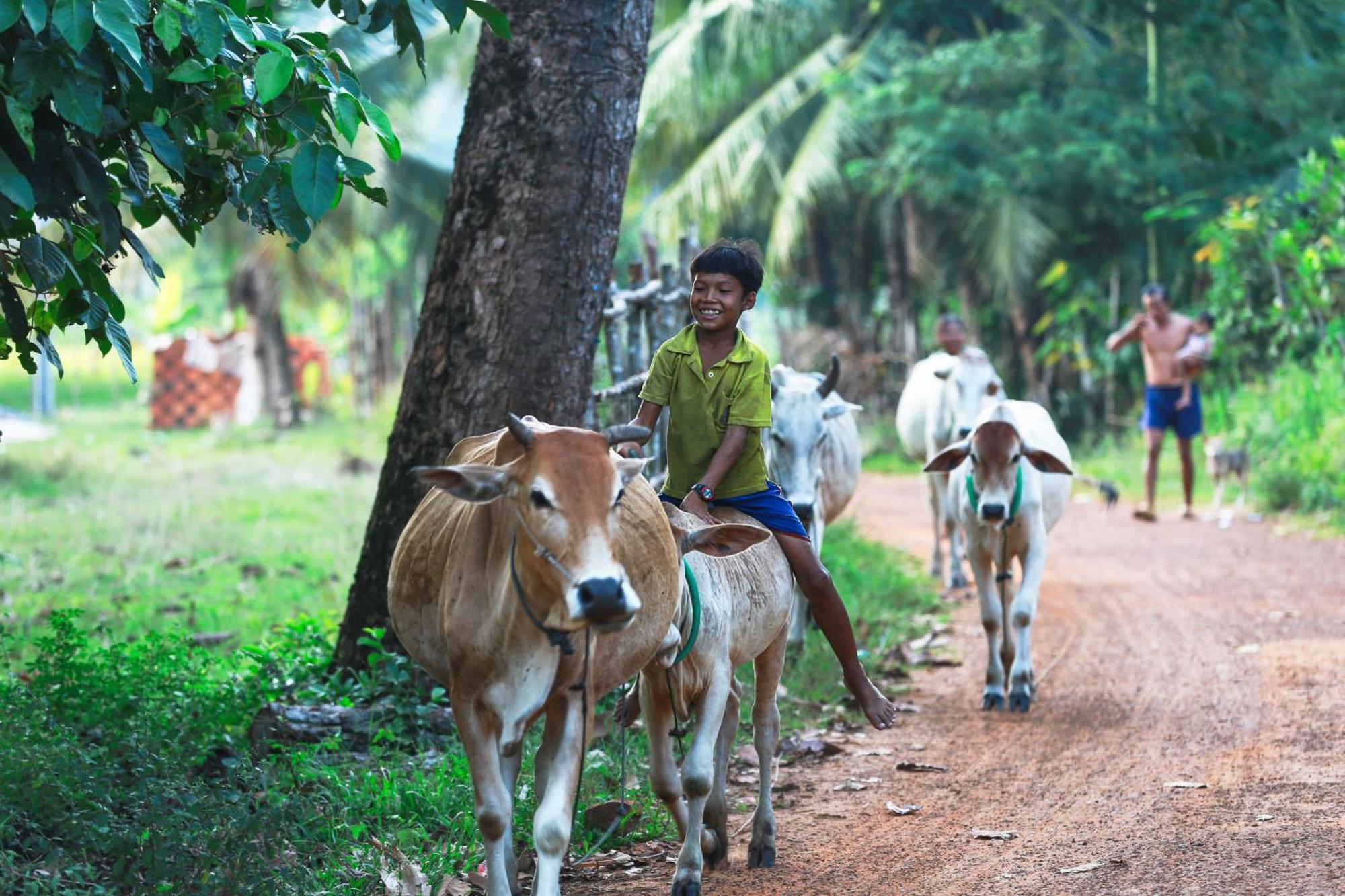 Ở trọ Chansor Community 4 *