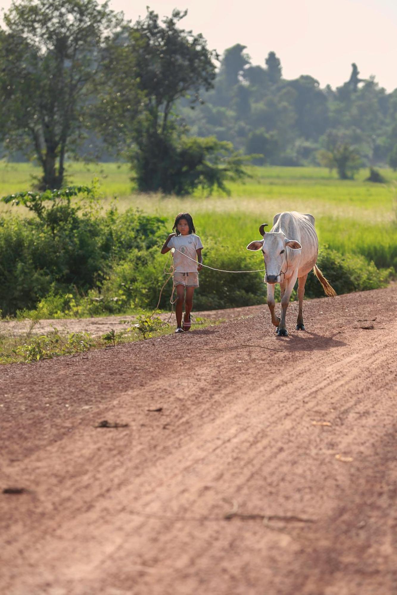 Ở trọ Chansor Community 4 Siem Reap