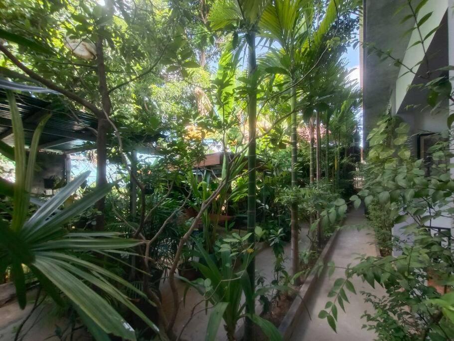 Holiday home - Four Bedrooms Near Angkor Wat