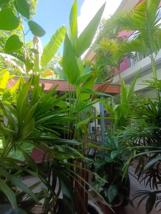- Four Bedrooms Near Angkor Wat * Siem Reap