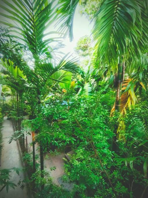 - Four Bedrooms Near Angkor Wat Holiday home *