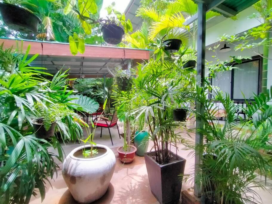 - Four Bedrooms Near Angkor Wat *