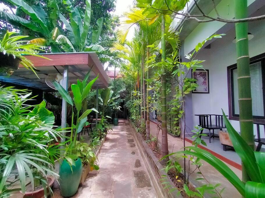 - Four Bedrooms Near Angkor Wat Siem Reap