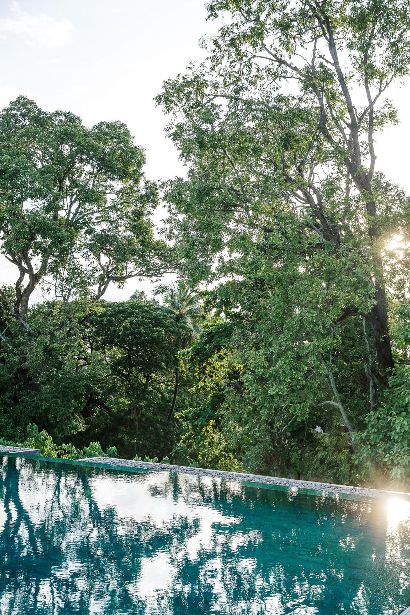 Hotel Treeline Urban 5*