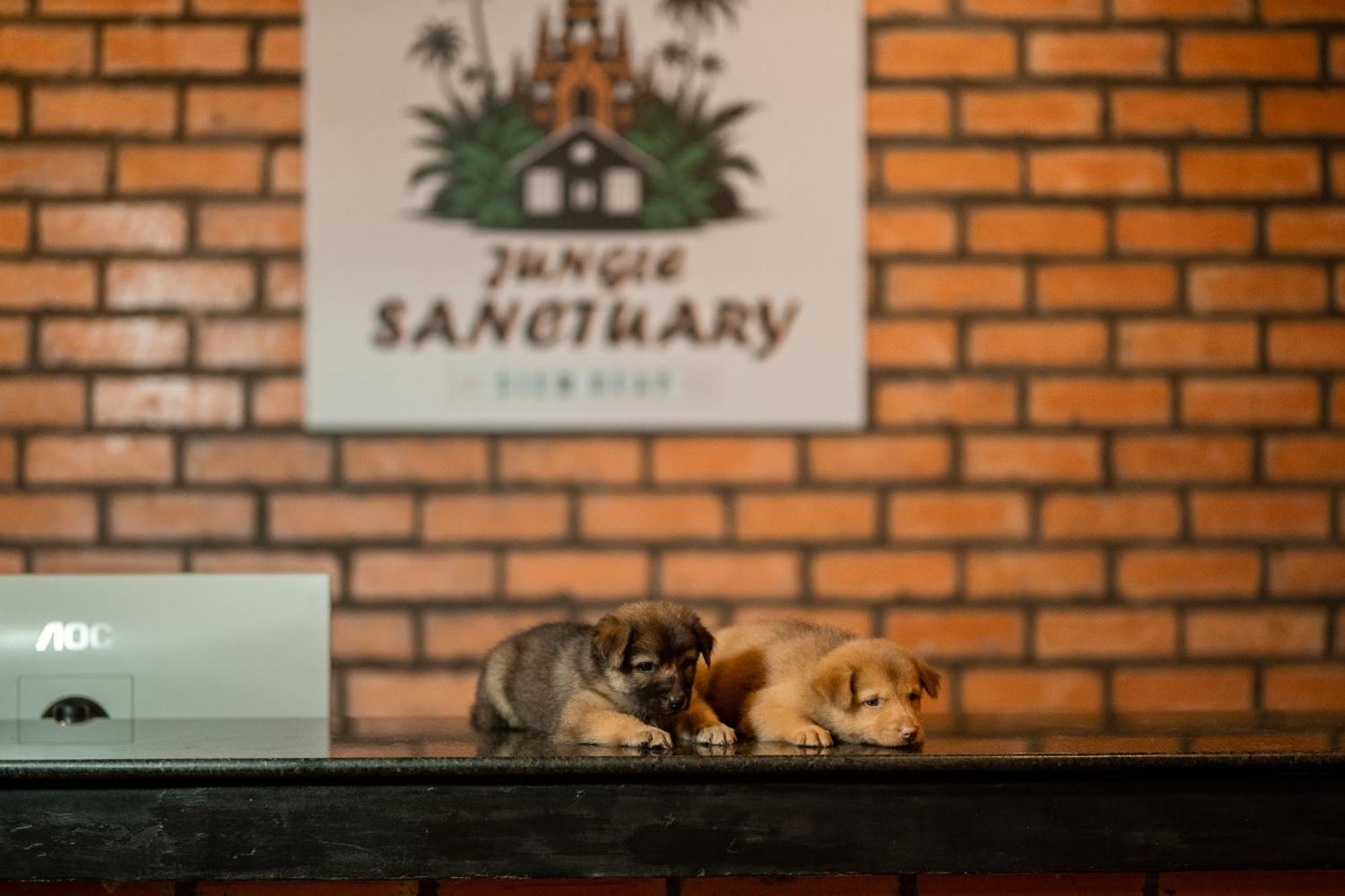 Jungle Sanctuary Hotel