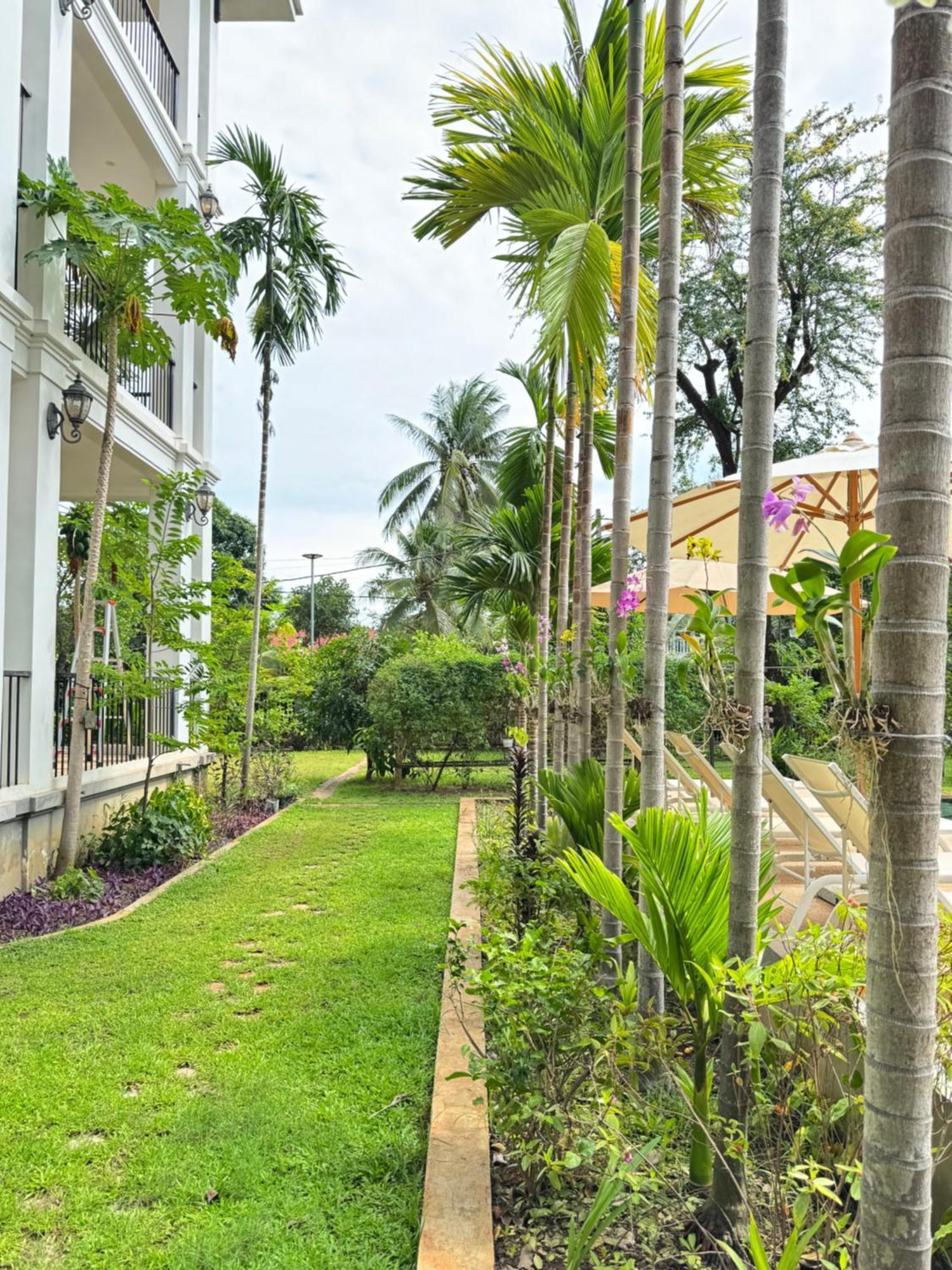 Mealy Hotel 3*
