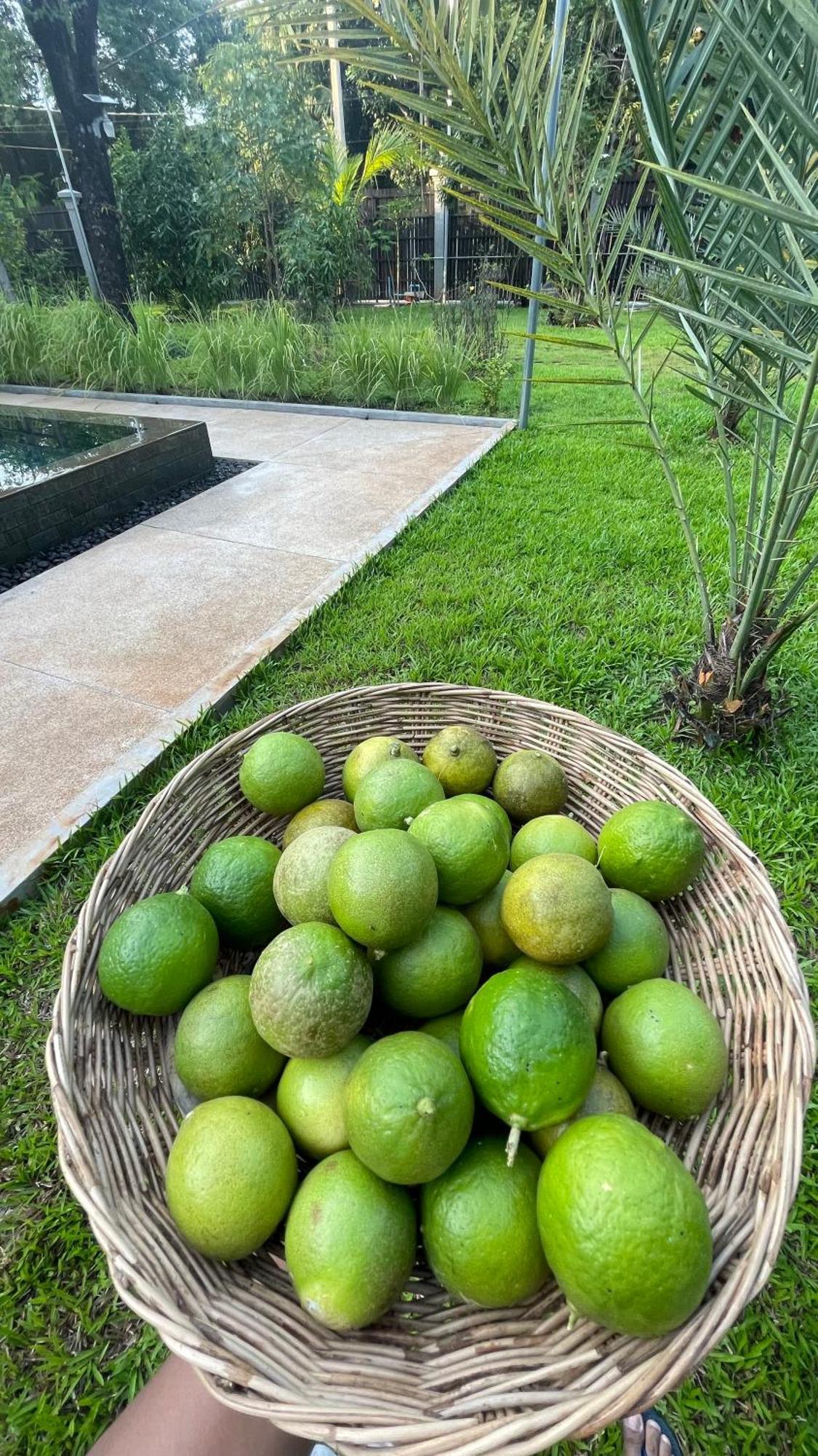 Mealy Hotel Siem Reap