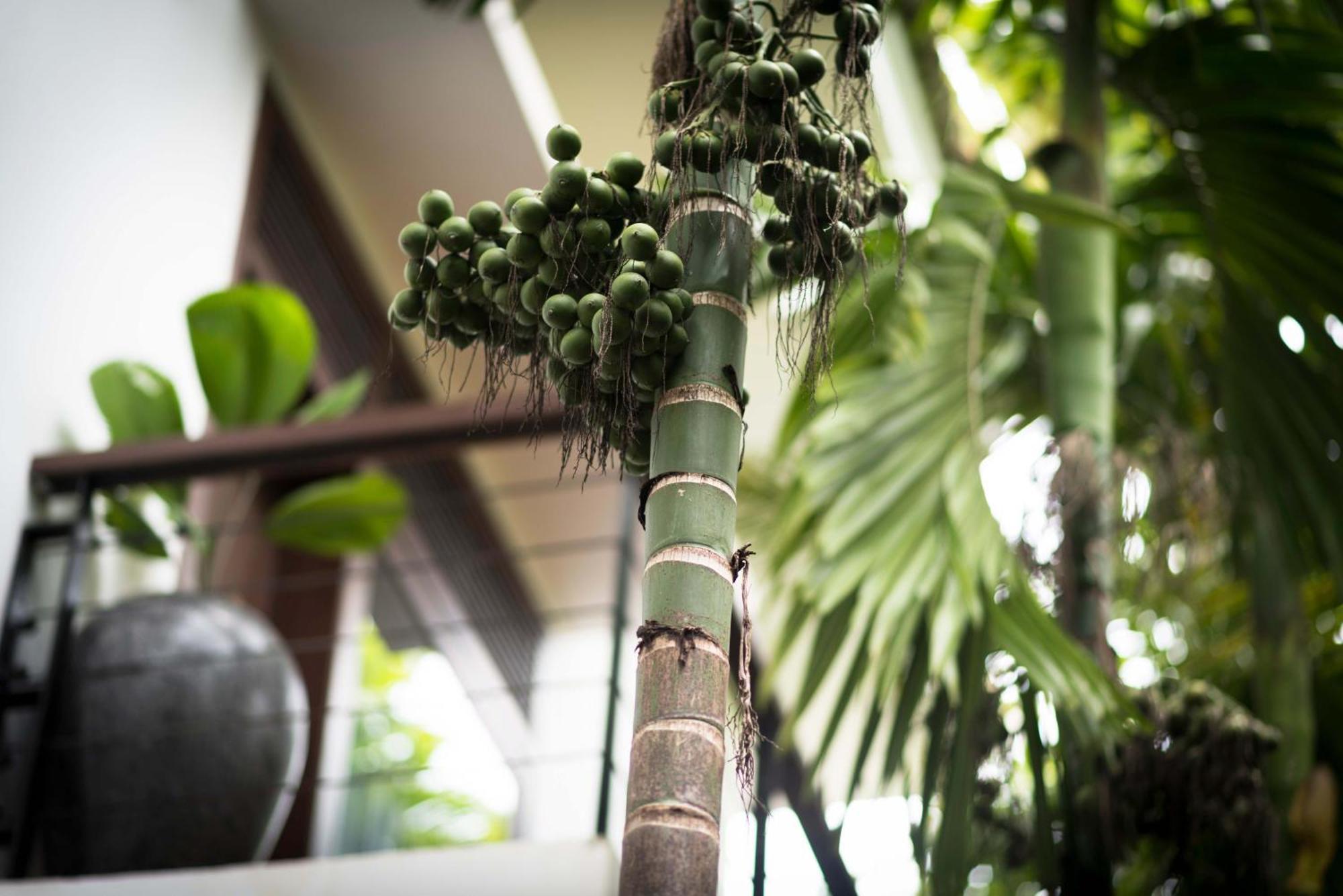 Sokkhak Boutique & Siem Reap