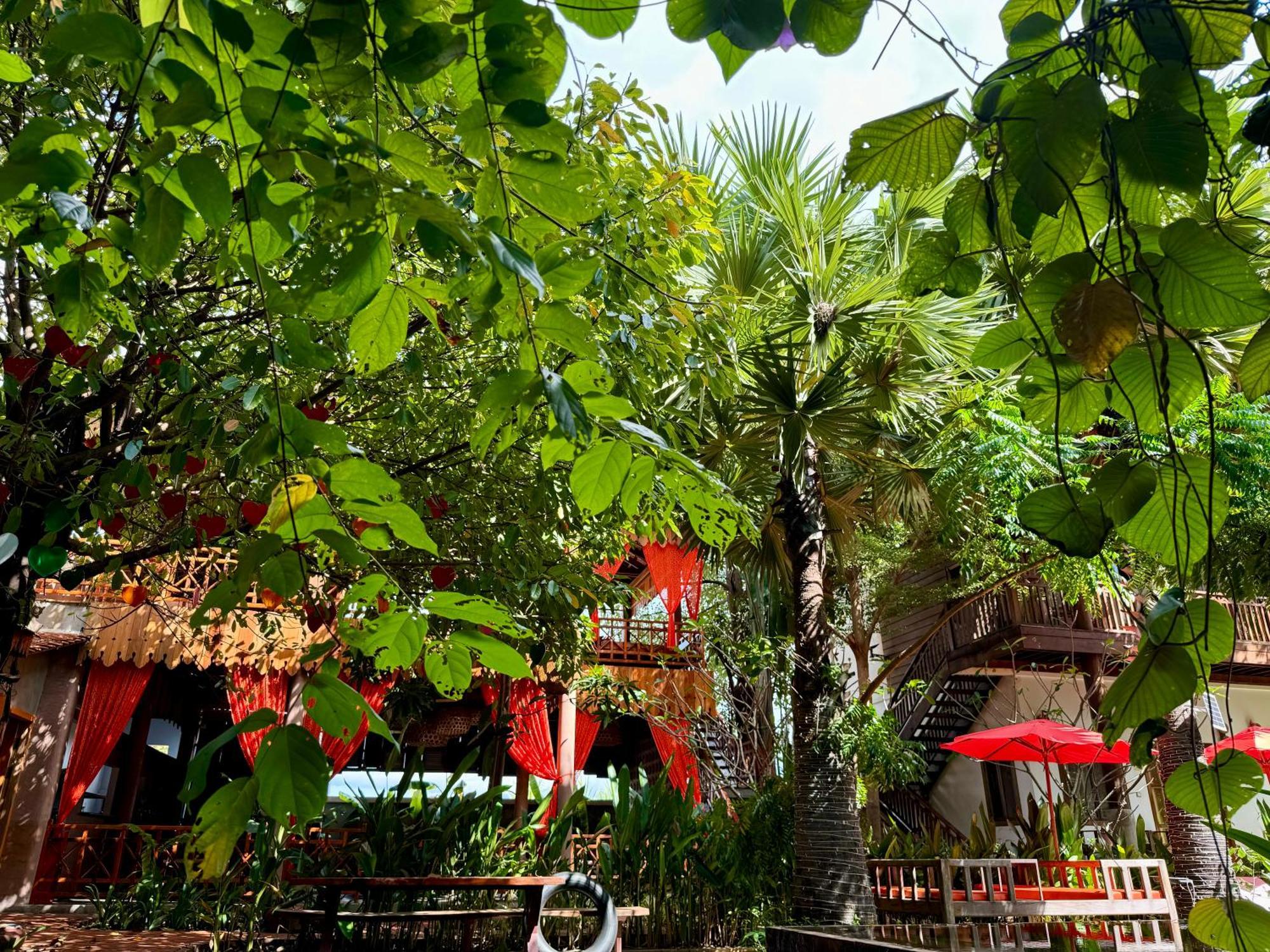Dontrei Angkor Hotel Siem Reap