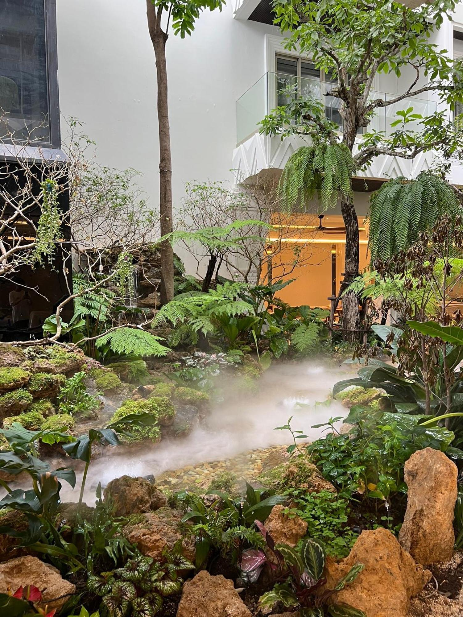 La Plante Siem Reap