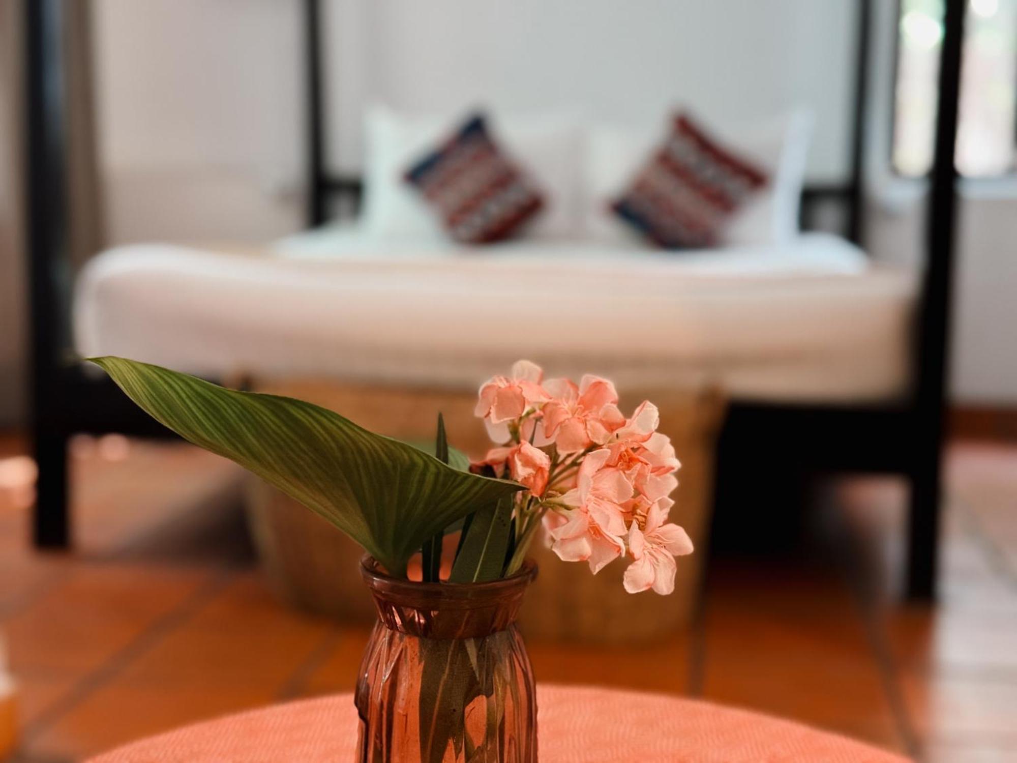 Hotel Maison 557 Siem Reap