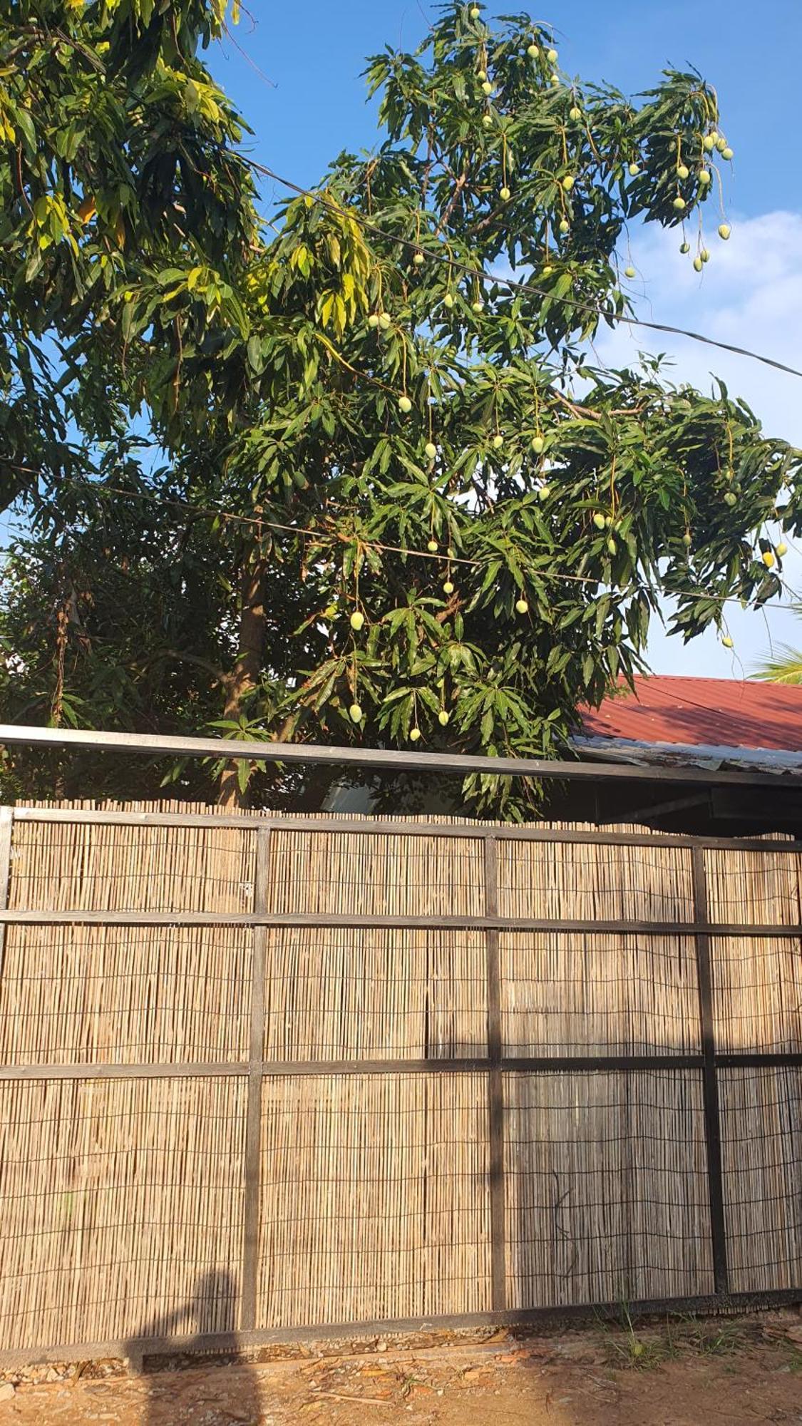 Niseth Villa Siem Reap