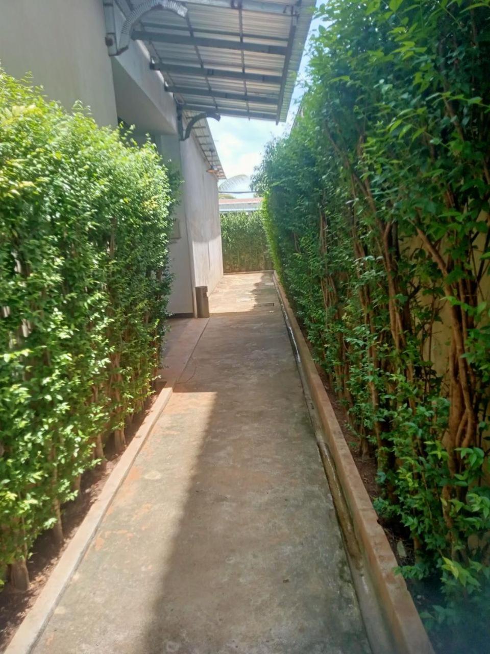 Homestay Local *