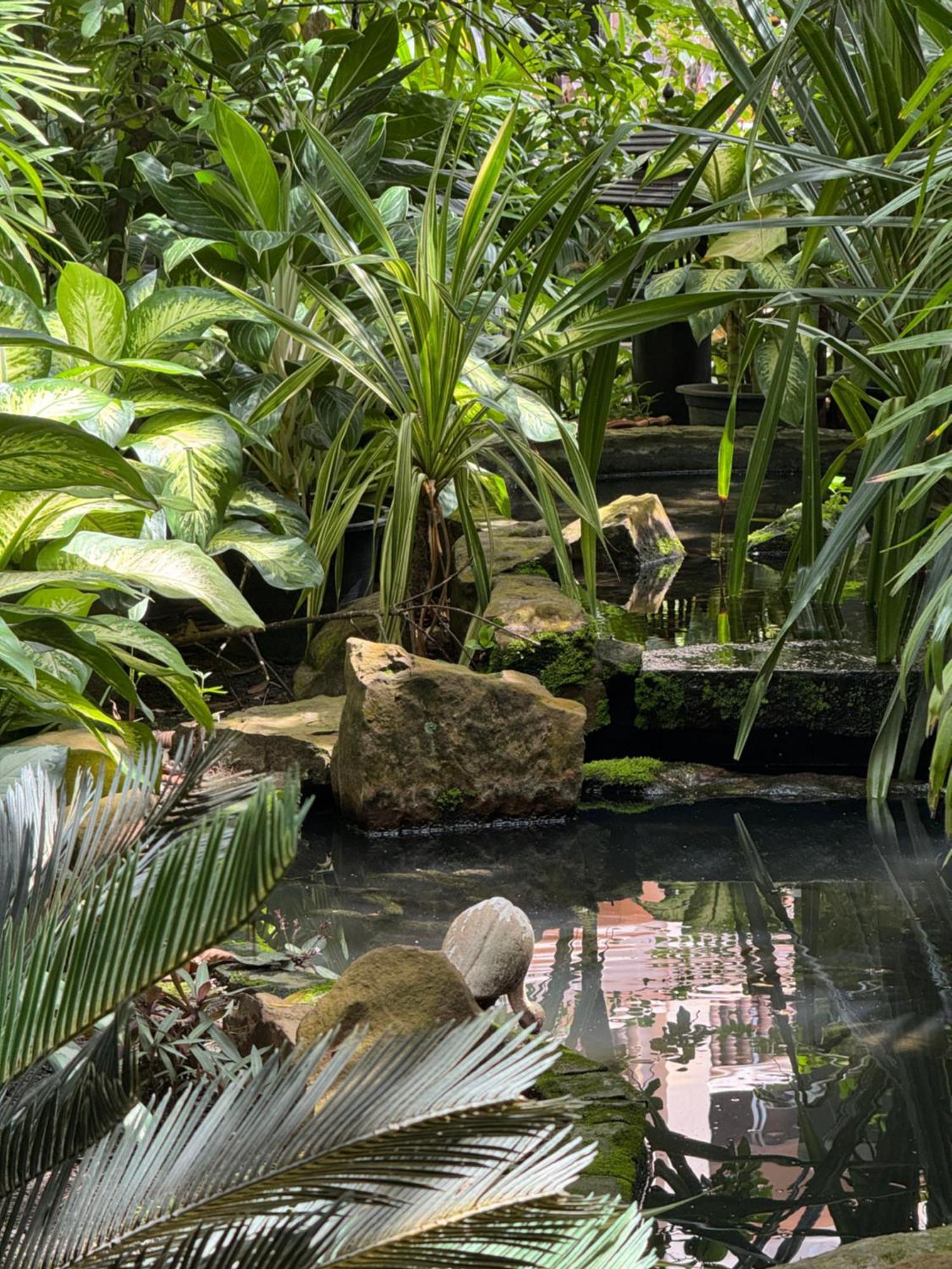 Somadevi Angkor Resort&spa Hotel Siem Reap