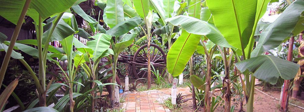 Guest house Angkor Reas