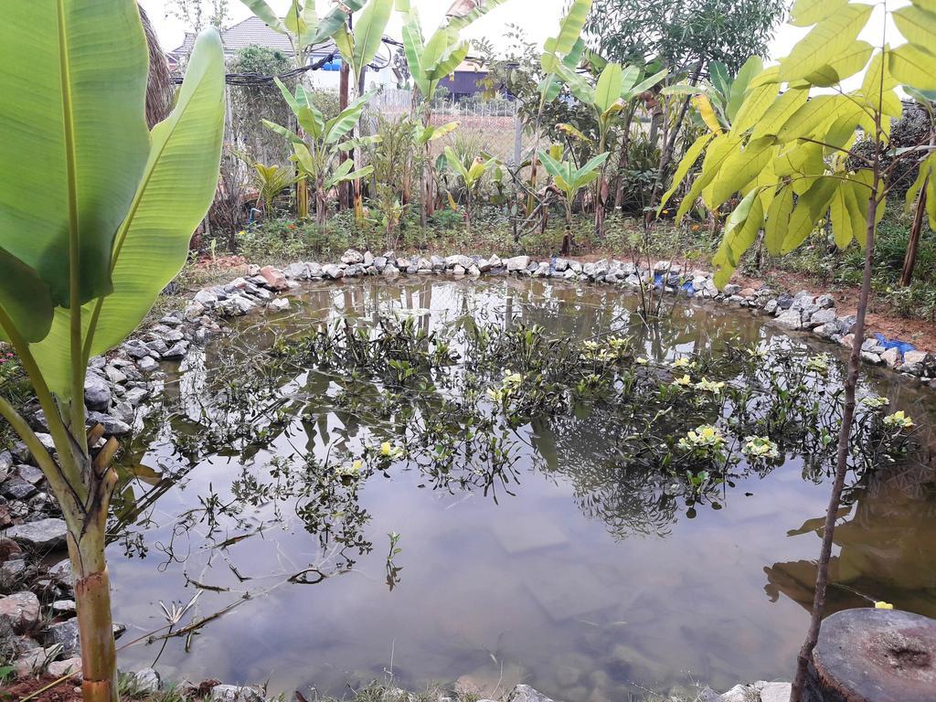 Angkor Rural Boutique 4*