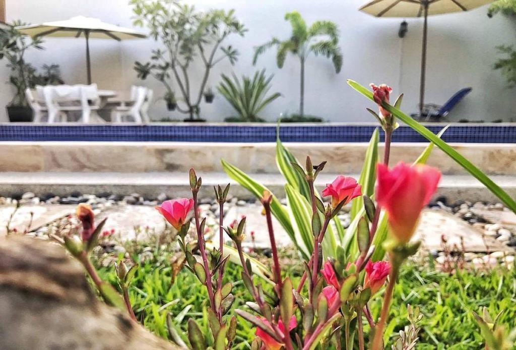 Nika's House * Siem Reap