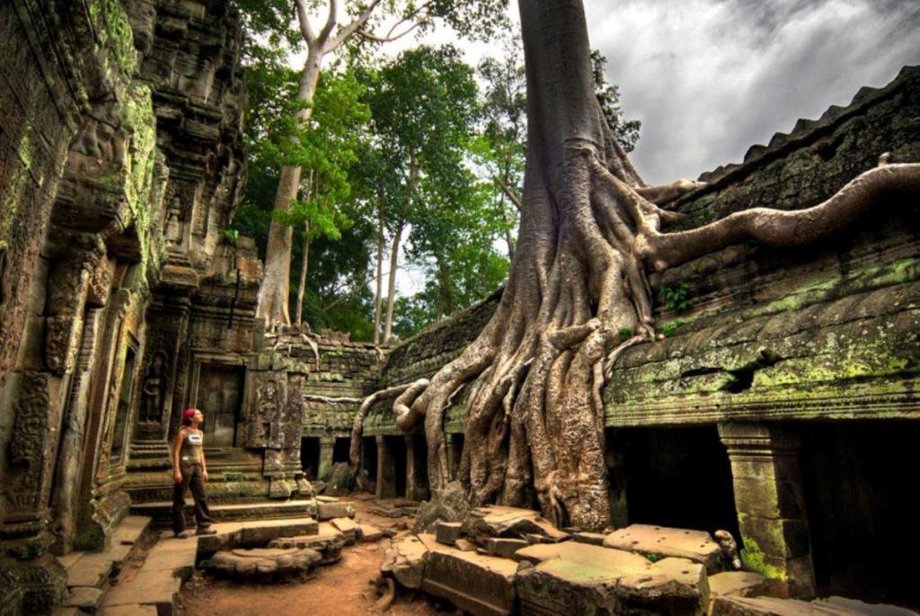 Hotel Angkor Tropical Siem Reap