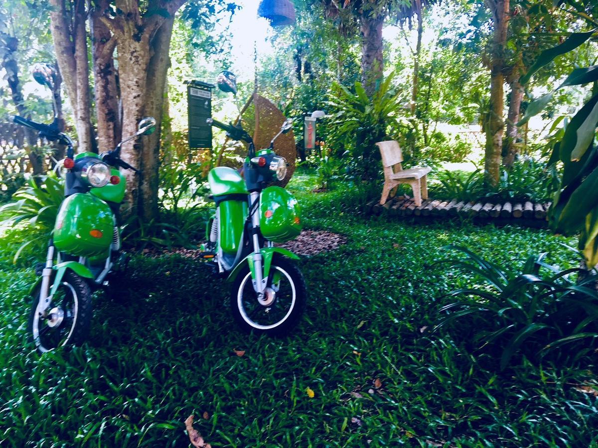 Casa de hóspedes Bloom Garden Siem Reap