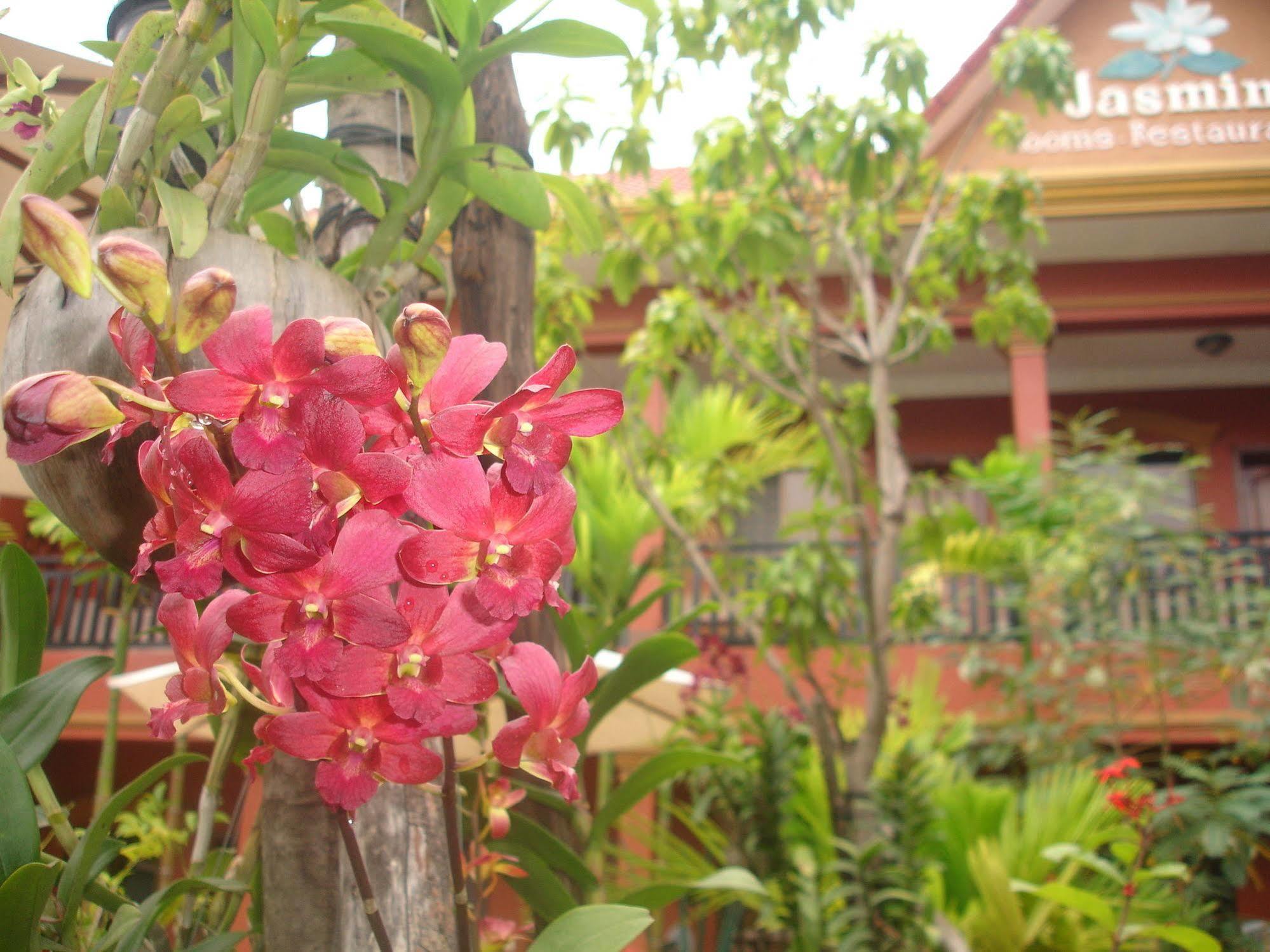 Jasmine Family 2* Siem Reap