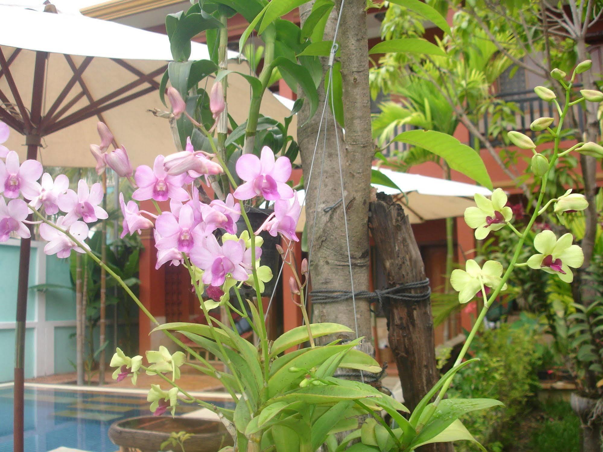 Bed & Breakfast Jasmine Family 2*