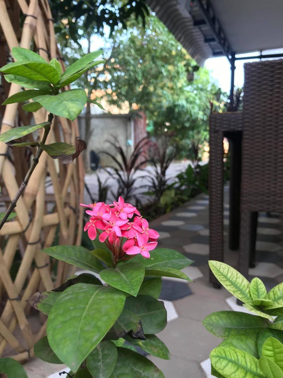 My 2* Siem Reap