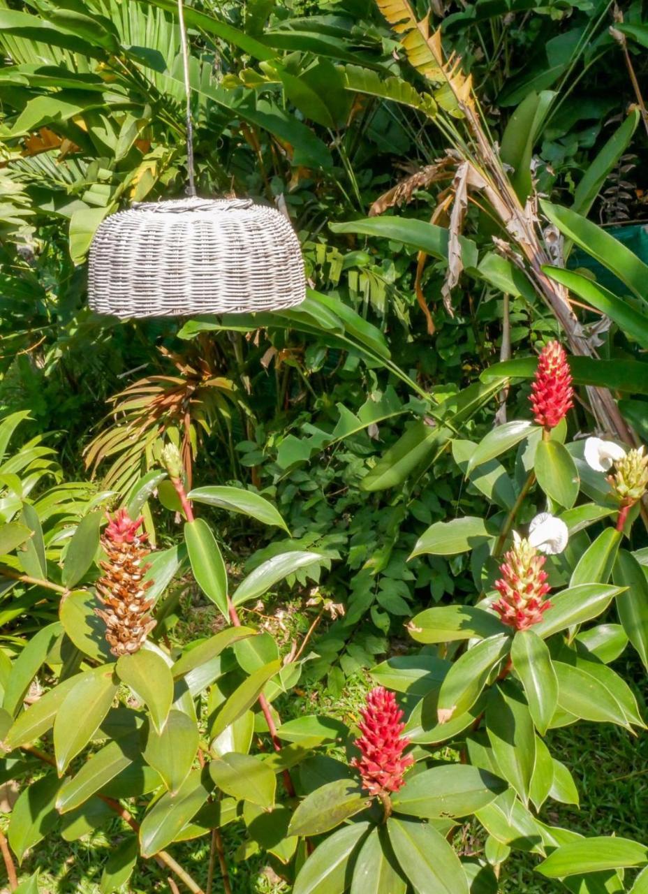 Bloom Garden Casa de hóspedes