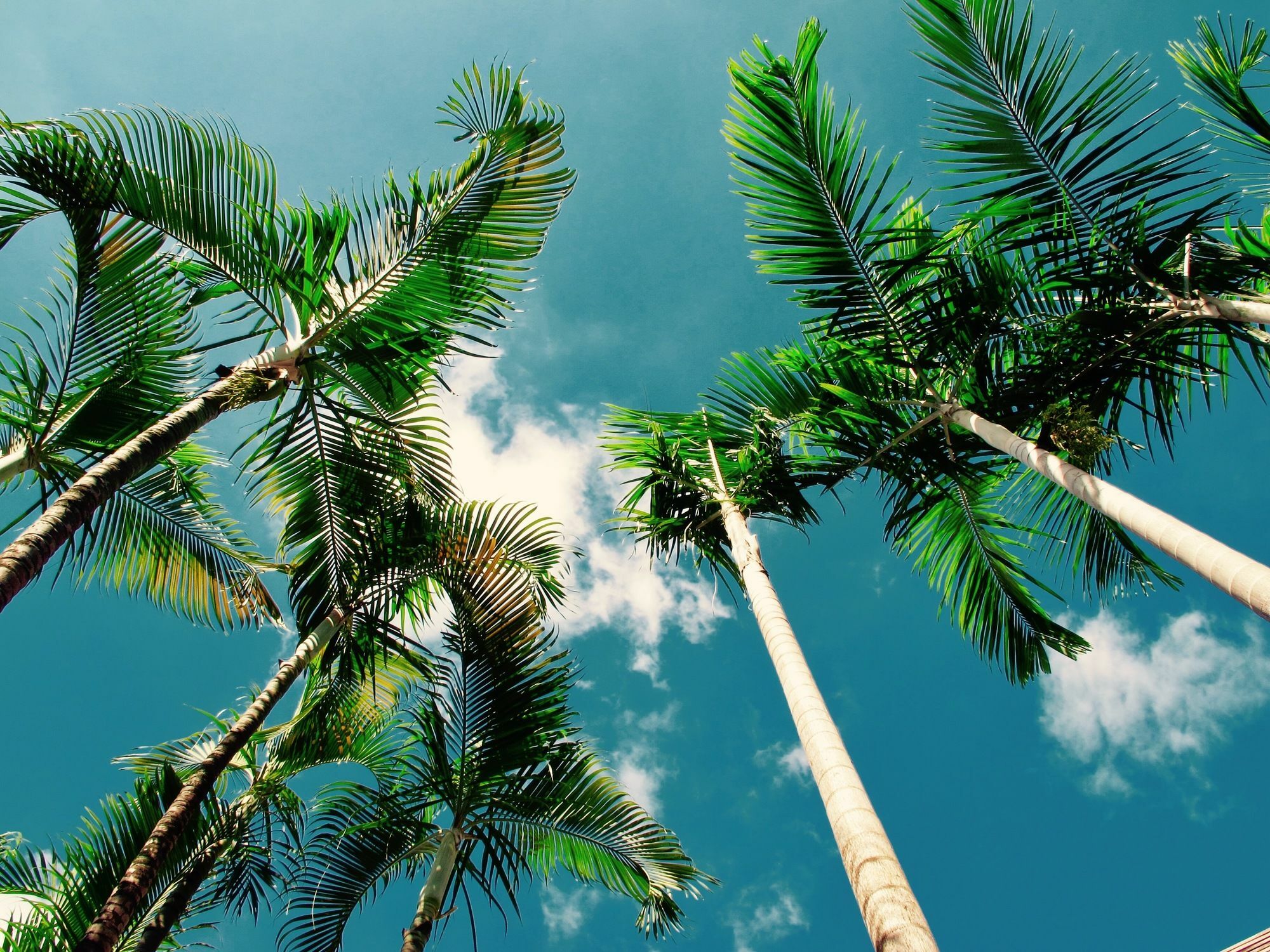 Tonle Tropic Boutique Hotel 4*