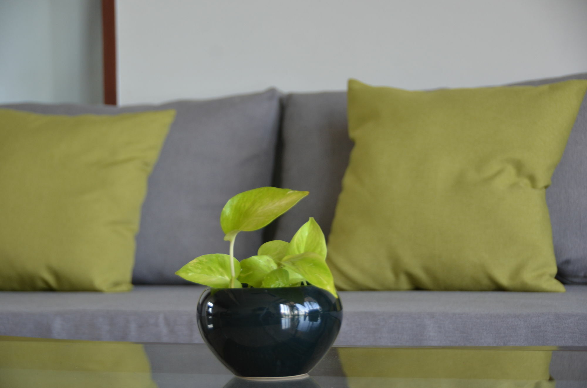 Filia D'angkor Boutique * Siem Reap