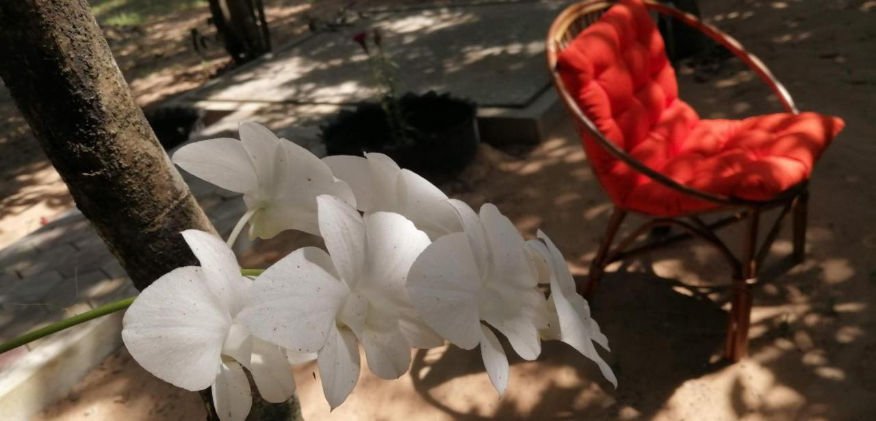 La Maison Des Bambous 2* Siem Reap